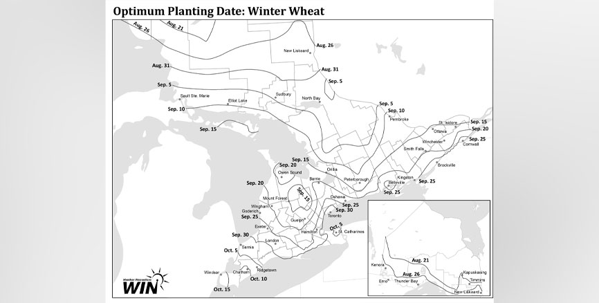 Thumbnail of Winter Wheat black and white map
